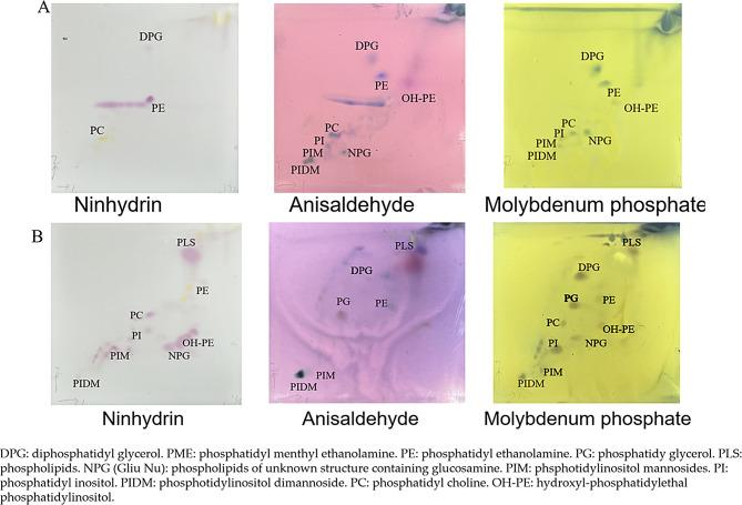 https://cdn.ncbi.nlm.nih.gov/pmc/blobs/c608/11689623/8b1ab7c2beb7/12866_2024_3609_Fig2_HTML.jpg
