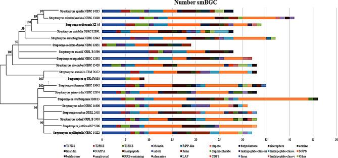 https://cdn.ncbi.nlm.nih.gov/pmc/blobs/c608/11689623/bffe3c718159/12866_2024_3609_Fig4_HTML.jpg