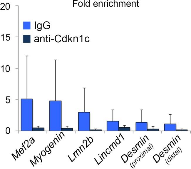 https://cdn.ncbi.nlm.nih.gov/pmc/blobs/c609/6172026/51df41fda3fa/elife-33337-fig6-figsupp1.jpg