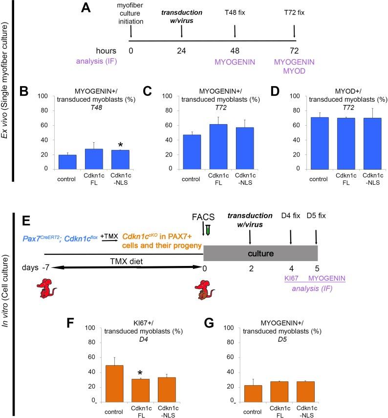 https://cdn.ncbi.nlm.nih.gov/pmc/blobs/c609/6172026/9e19a9df7074/elife-33337-fig6-figsupp2.jpg