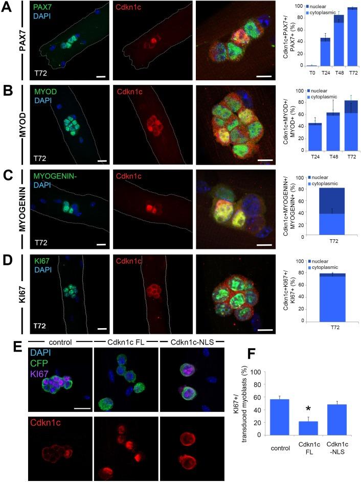 https://cdn.ncbi.nlm.nih.gov/pmc/blobs/c609/6172026/c8ea24d375f4/elife-33337-fig6.jpg