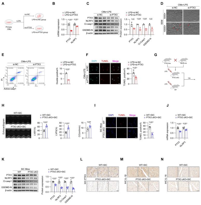 https://cdn.ncbi.nlm.nih.gov/pmc/blobs/c60b/11905121/0b2660d72b11/thnov15p3532g002.jpg