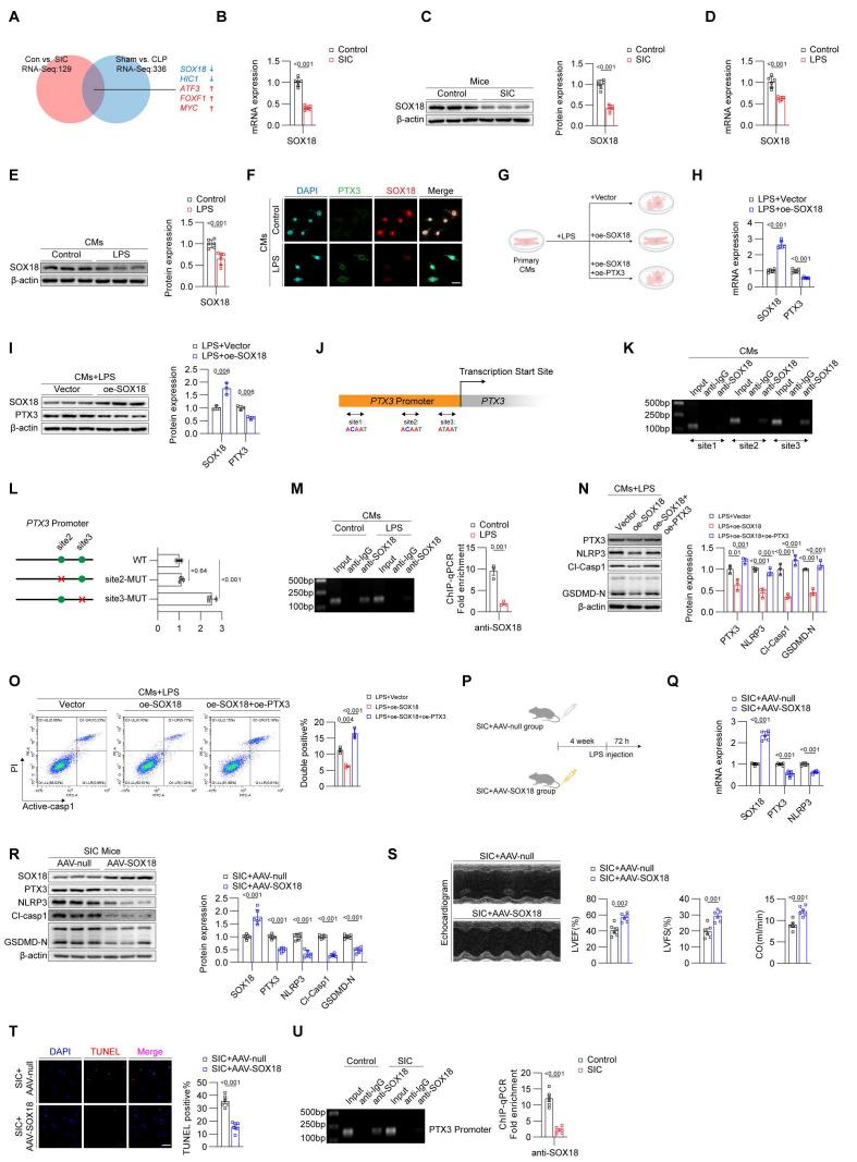 https://cdn.ncbi.nlm.nih.gov/pmc/blobs/c60b/11905121/3f9500991b71/thnov15p3532g003.jpg