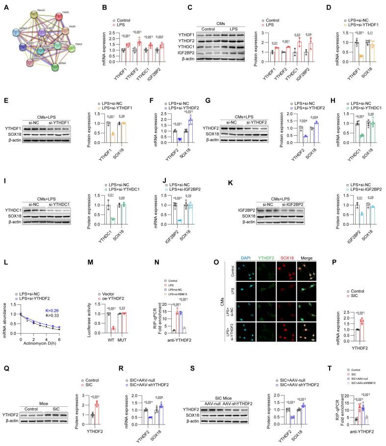 https://cdn.ncbi.nlm.nih.gov/pmc/blobs/c60b/11905121/dbc5dc435b87/thnov15p3532g005.jpg
