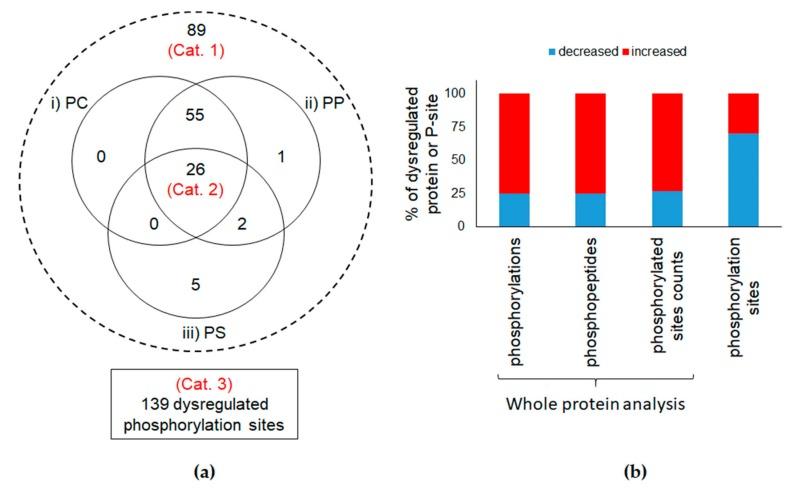 https://cdn.ncbi.nlm.nih.gov/pmc/blobs/c60b/7074930/96586ddb73f3/nanomaterials-10-00185-g002.jpg