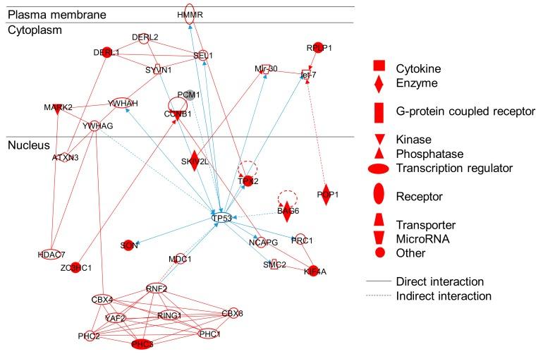 https://cdn.ncbi.nlm.nih.gov/pmc/blobs/c60b/7074930/970aa8cdcc33/nanomaterials-10-00185-g003.jpg
