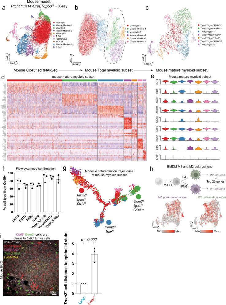 https://cdn.ncbi.nlm.nih.gov/pmc/blobs/c60c/10172319/29b296fbe0d2/41467_2023_37993_Fig4_HTML.jpg