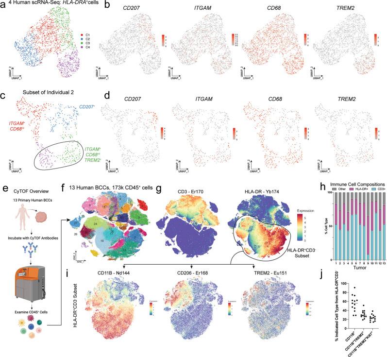 https://cdn.ncbi.nlm.nih.gov/pmc/blobs/c60c/10172319/8356382e3f34/41467_2023_37993_Fig2_HTML.jpg