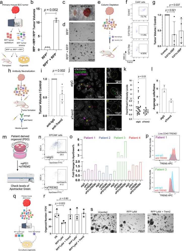 https://cdn.ncbi.nlm.nih.gov/pmc/blobs/c60c/10172319/946f2c351318/41467_2023_37993_Fig6_HTML.jpg