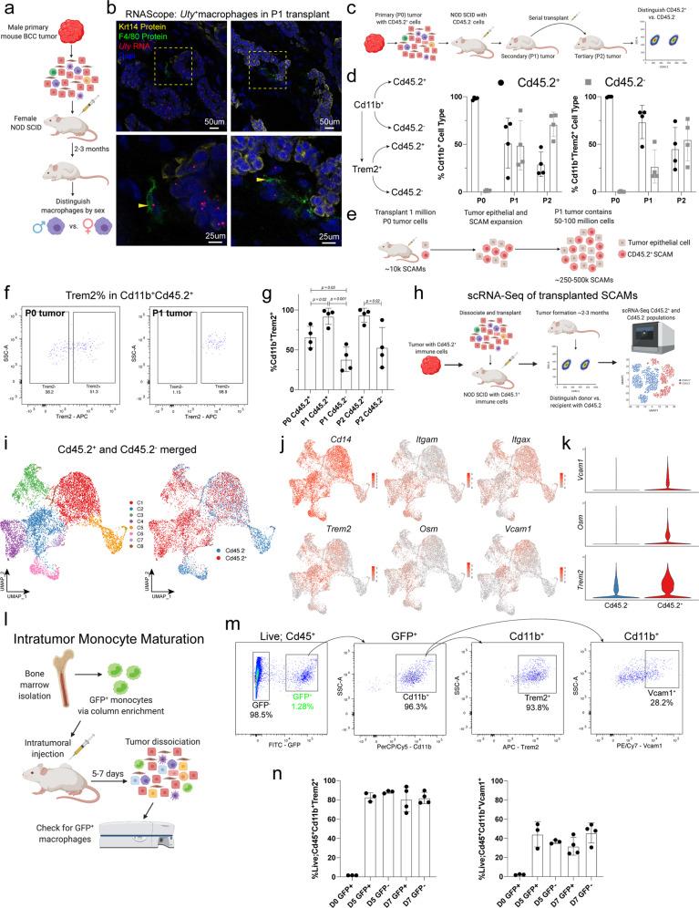 https://cdn.ncbi.nlm.nih.gov/pmc/blobs/c60c/10172319/d09f14eb4964/41467_2023_37993_Fig8_HTML.jpg