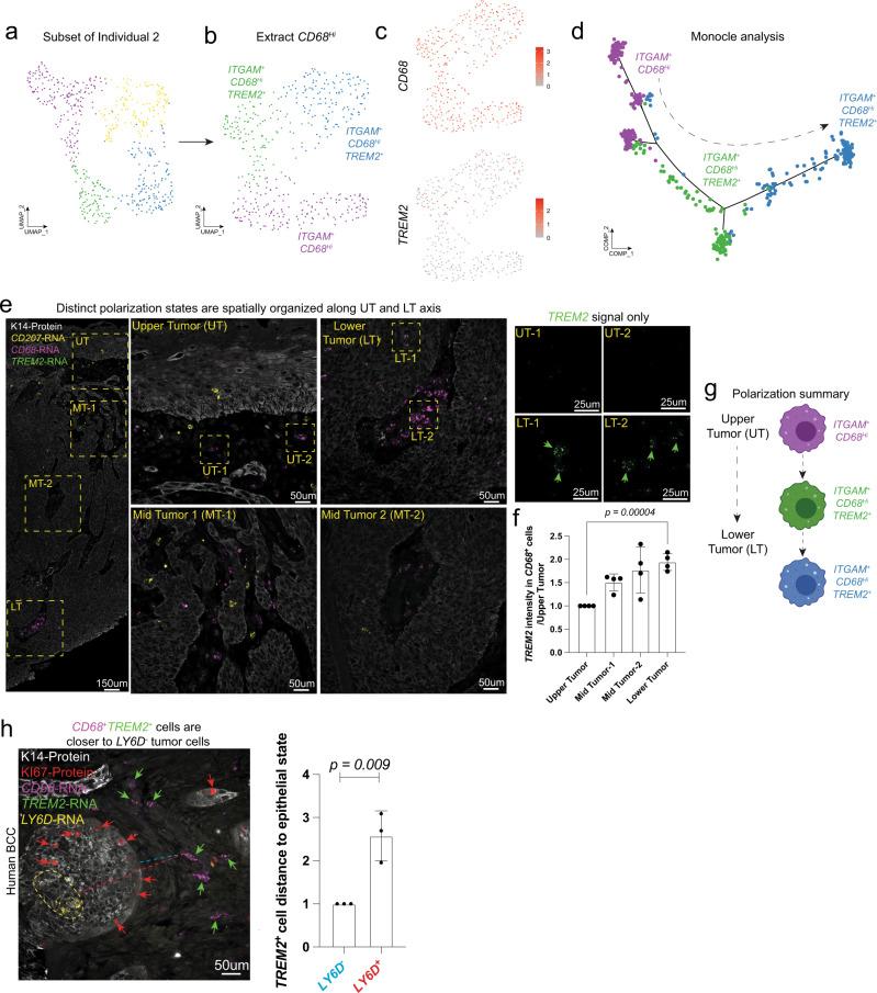 https://cdn.ncbi.nlm.nih.gov/pmc/blobs/c60c/10172319/d997871c8423/41467_2023_37993_Fig3_HTML.jpg