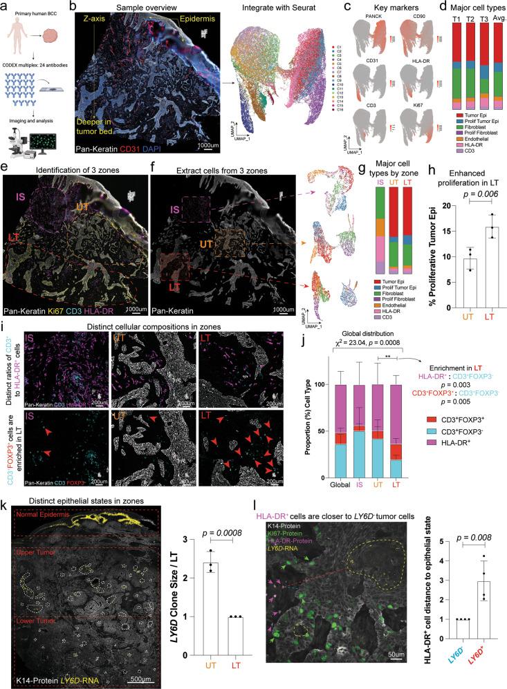 https://cdn.ncbi.nlm.nih.gov/pmc/blobs/c60c/10172319/e562832beba0/41467_2023_37993_Fig1_HTML.jpg