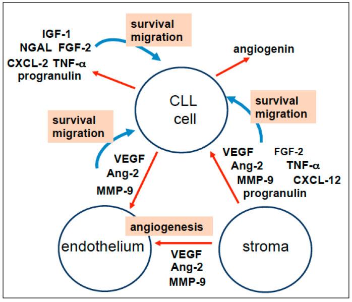 https://cdn.ncbi.nlm.nih.gov/pmc/blobs/c60d/11719013/3f55a16587ee/cancers-17-00072-g001.jpg