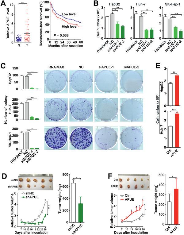 https://cdn.ncbi.nlm.nih.gov/pmc/blobs/c60d/8025008/8e26fb28eb9a/ADVS-8-2003094-g003.jpg