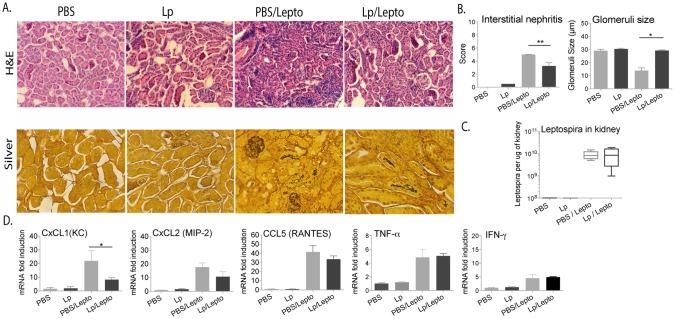 https://cdn.ncbi.nlm.nih.gov/pmc/blobs/c610/5589268/cc2ba6edaebe/pntd.0005870.g002.jpg