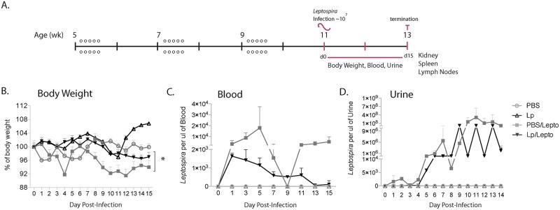 https://cdn.ncbi.nlm.nih.gov/pmc/blobs/c610/5589268/cd39104a5796/pntd.0005870.g001.jpg
