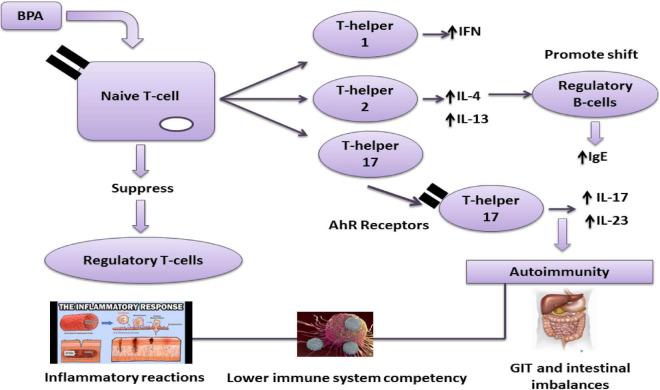 https://cdn.ncbi.nlm.nih.gov/pmc/blobs/c610/9671506/098034db4a84/fnut-09-1047827-g005.jpg