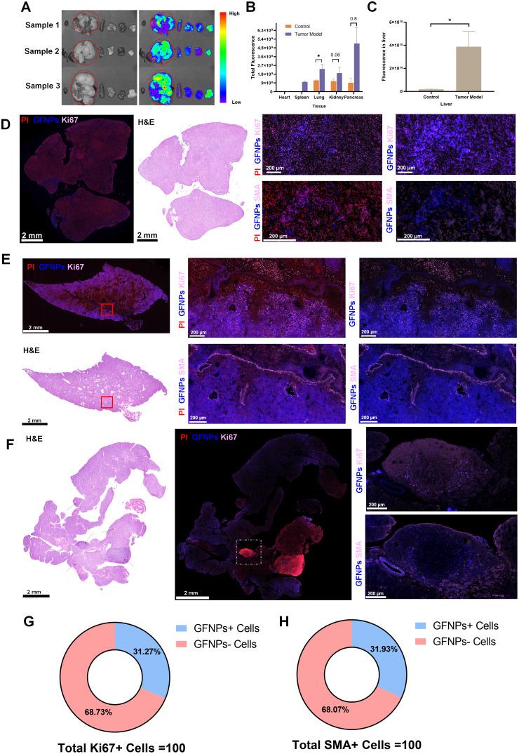 https://cdn.ncbi.nlm.nih.gov/pmc/blobs/c611/11386073/6c90e91b77da/IJN-19-9121-g0006.jpg