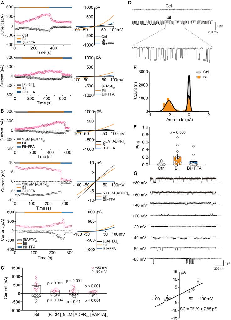 https://cdn.ncbi.nlm.nih.gov/pmc/blobs/c612/10191619/68e866fb8bb8/gr4.jpg