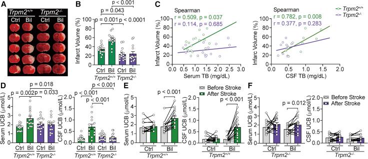 https://cdn.ncbi.nlm.nih.gov/pmc/blobs/c612/10191619/c36934d8ceec/gr2.jpg