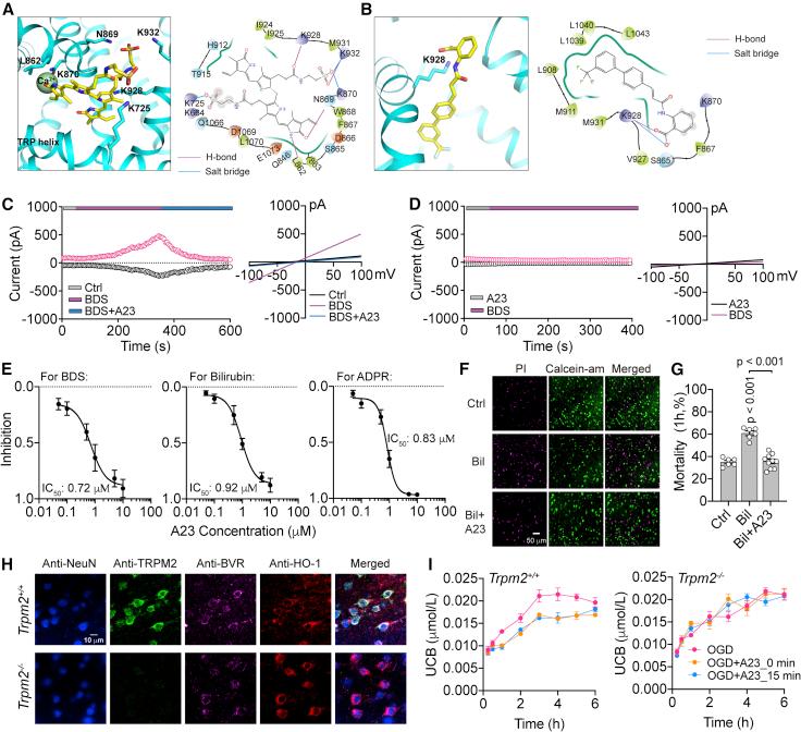https://cdn.ncbi.nlm.nih.gov/pmc/blobs/c612/10191619/c909a95c5a9e/gr7.jpg