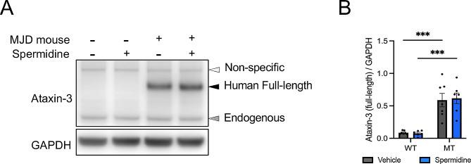 https://cdn.ncbi.nlm.nih.gov/pmc/blobs/c612/10916058/b3c0a4f72241/13041_2024_1085_Fig4_HTML.jpg