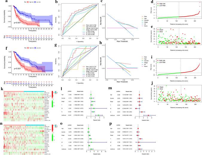 https://cdn.ncbi.nlm.nih.gov/pmc/blobs/c613/9653531/b4ab206d23d0/12672_2022_581_Fig4_HTML.jpg