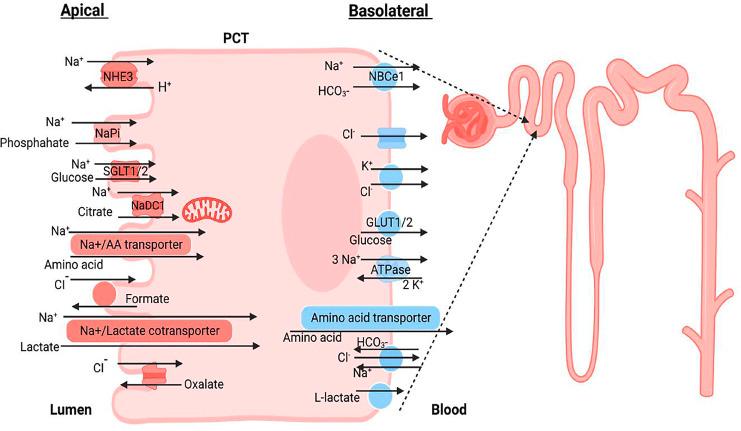 https://cdn.ncbi.nlm.nih.gov/pmc/blobs/c614/11095595/815f5b8285a2/kdd-2024-0010-0002-536423_F01.jpg