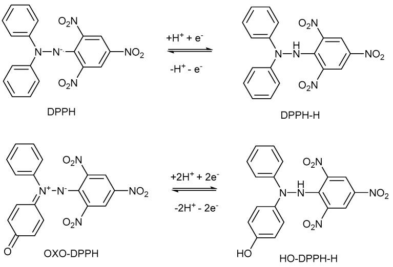 https://cdn.ncbi.nlm.nih.gov/pmc/blobs/c614/12024330/19c4e3eeef99/antioxidants-14-00463-g002.jpg