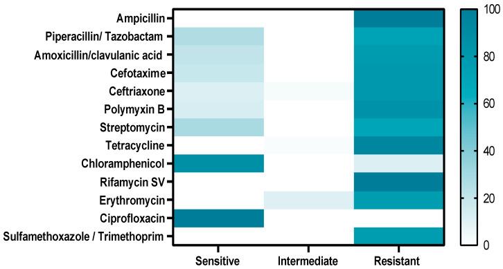 https://cdn.ncbi.nlm.nih.gov/pmc/blobs/c618/9695981/50d7177f4c3c/pathogens-11-01262-g004.jpg
