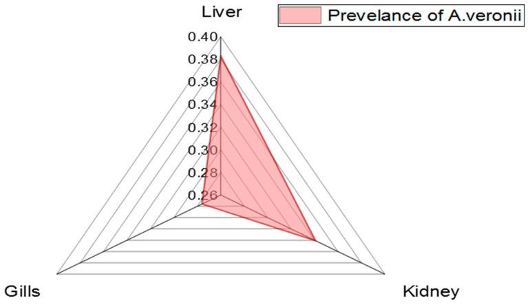 https://cdn.ncbi.nlm.nih.gov/pmc/blobs/c618/9695981/94c4108430f7/pathogens-11-01262-g002.jpg