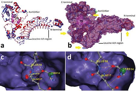 https://cdn.ncbi.nlm.nih.gov/pmc/blobs/c619/10234052/06a14ae9b96e/JCRPE-15-160-g8.jpg