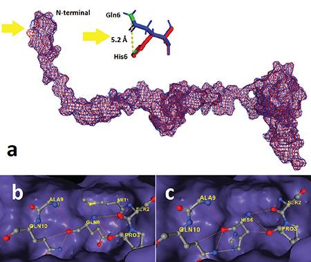 https://cdn.ncbi.nlm.nih.gov/pmc/blobs/c619/10234052/31a0f477fb41/JCRPE-15-160-g6.jpg