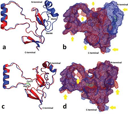 https://cdn.ncbi.nlm.nih.gov/pmc/blobs/c619/10234052/3621a8c3c084/JCRPE-15-160-g5.jpg