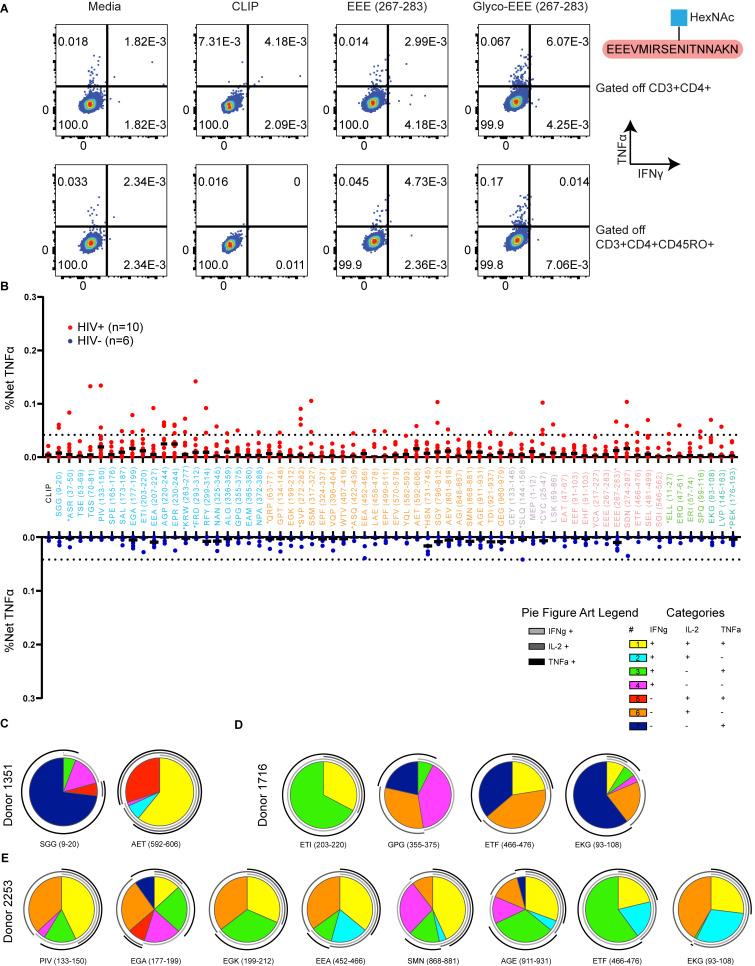 https://cdn.ncbi.nlm.nih.gov/pmc/blobs/c61a/10114365/912ec2a9f562/JEM_20221654_FigS4.jpg