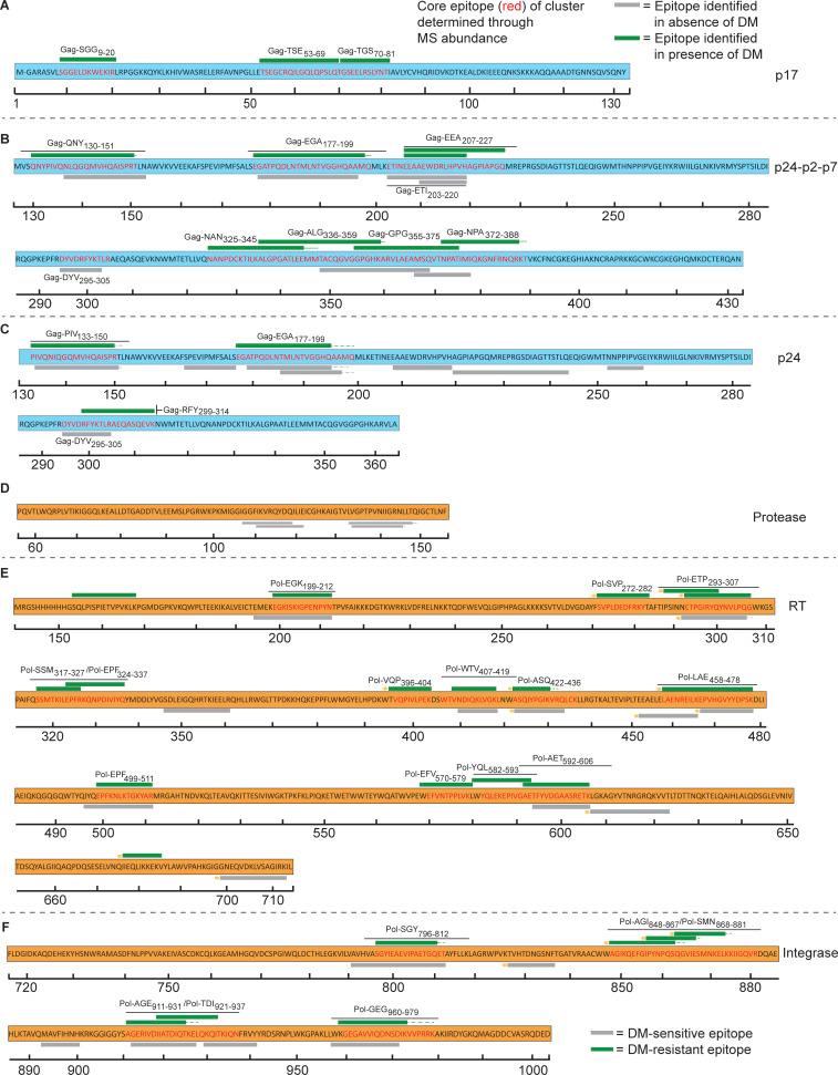 https://cdn.ncbi.nlm.nih.gov/pmc/blobs/c61a/10114365/c71406da774f/JEM_20221654_Fig2.jpg