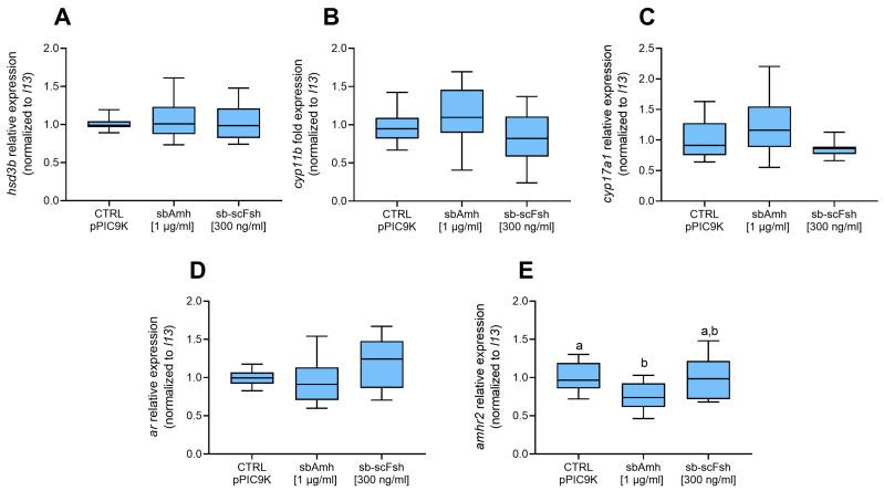 https://cdn.ncbi.nlm.nih.gov/pmc/blobs/c61b/12347443/1ce743acfe0b/ijms-26-07554-g003.jpg