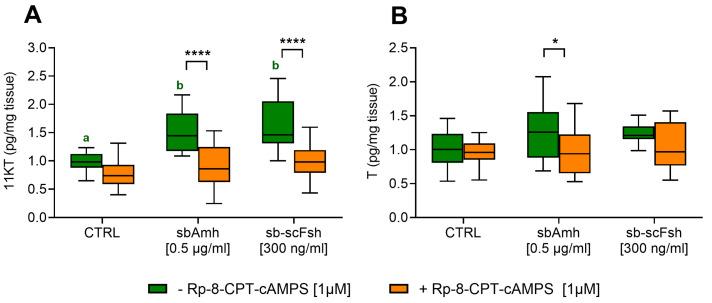 https://cdn.ncbi.nlm.nih.gov/pmc/blobs/c61b/12347443/2674b5d239ae/ijms-26-07554-g007.jpg