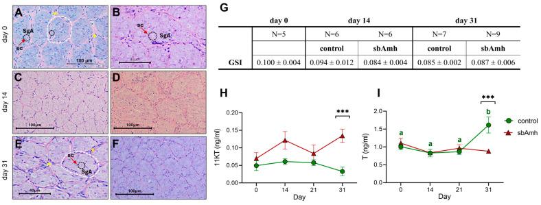 https://cdn.ncbi.nlm.nih.gov/pmc/blobs/c61b/12347443/3384f06d2039/ijms-26-07554-g004.jpg