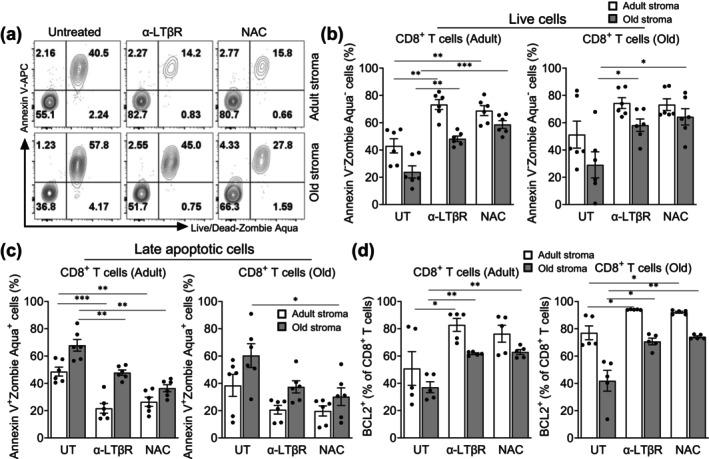 https://cdn.ncbi.nlm.nih.gov/pmc/blobs/c61c/12341786/c38c53755602/ACEL-24-e70100-g005.jpg