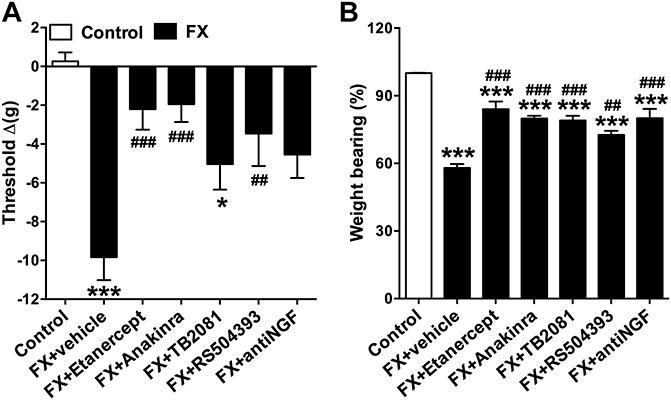 https://cdn.ncbi.nlm.nih.gov/pmc/blobs/c61c/4770355/52d11c81e016/jop-156-1852-g005.jpg