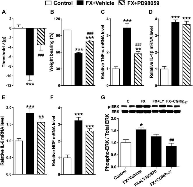 https://cdn.ncbi.nlm.nih.gov/pmc/blobs/c61c/4770355/c416d65f5338/jop-156-1852-g008.jpg