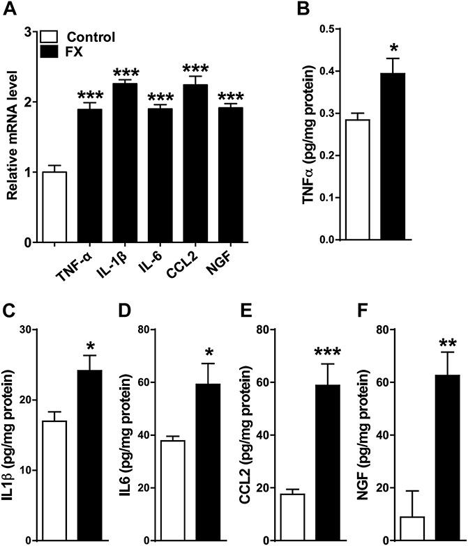 https://cdn.ncbi.nlm.nih.gov/pmc/blobs/c61c/4770355/c552463ef7b5/jop-156-1852-g004.jpg