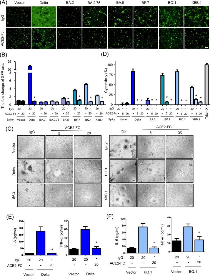 https://cdn.ncbi.nlm.nih.gov/pmc/blobs/c61d/12199494/b5275b4dbbbc/12929_2025_1156_Fig3_HTML.jpg