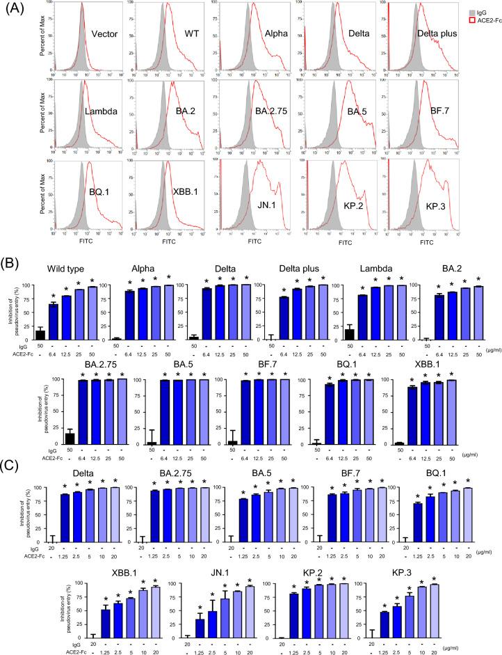 https://cdn.ncbi.nlm.nih.gov/pmc/blobs/c61d/12199494/c6fff19d1a1f/12929_2025_1156_Fig2_HTML.jpg
