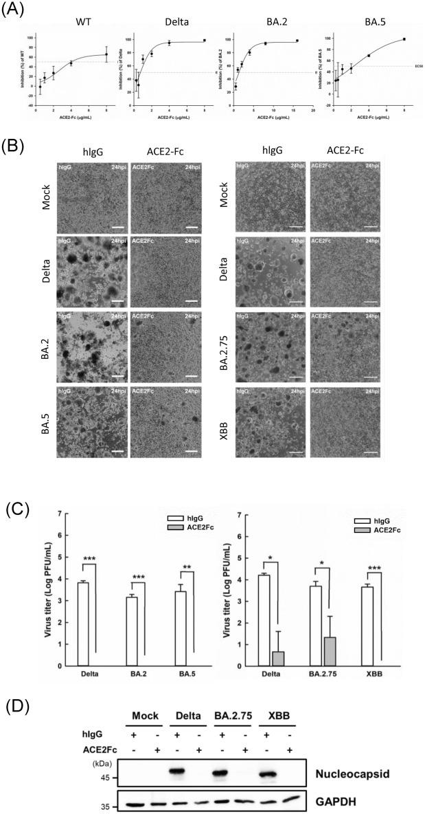 https://cdn.ncbi.nlm.nih.gov/pmc/blobs/c61d/12199494/d1c42024518a/12929_2025_1156_Fig4_HTML.jpg