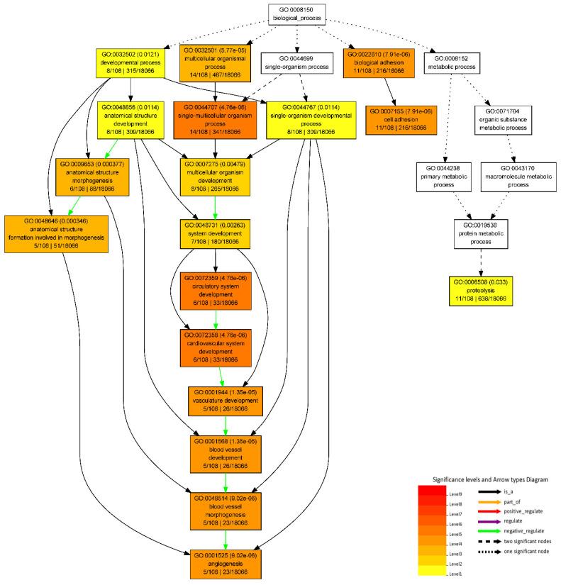 https://cdn.ncbi.nlm.nih.gov/pmc/blobs/c61d/9498357/0c024b5fbe13/genes-13-01645-g004.jpg