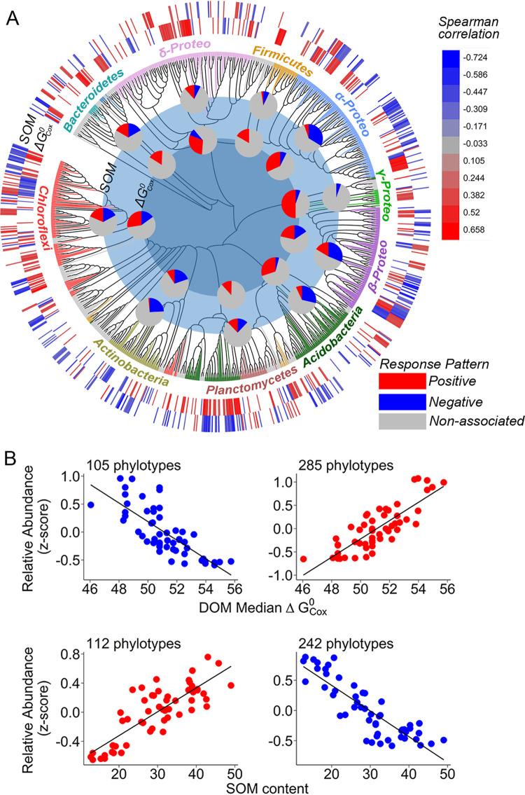 https://cdn.ncbi.nlm.nih.gov/pmc/blobs/c61e/8545108/db1853969284/mbio.03252-20-f0003.jpg