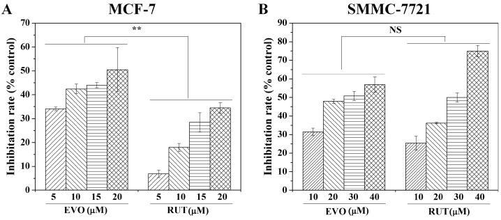 https://cdn.ncbi.nlm.nih.gov/pmc/blobs/c61f/6273785/30772c095e6a/molecules-21-00954-g002.jpg
