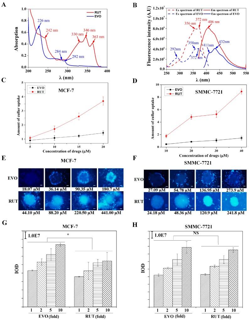 https://cdn.ncbi.nlm.nih.gov/pmc/blobs/c61f/6273785/7ddf81428887/molecules-21-00954-g004.jpg